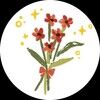 poinnsettia